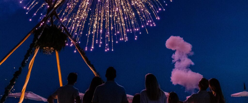 A group watches fireworks
