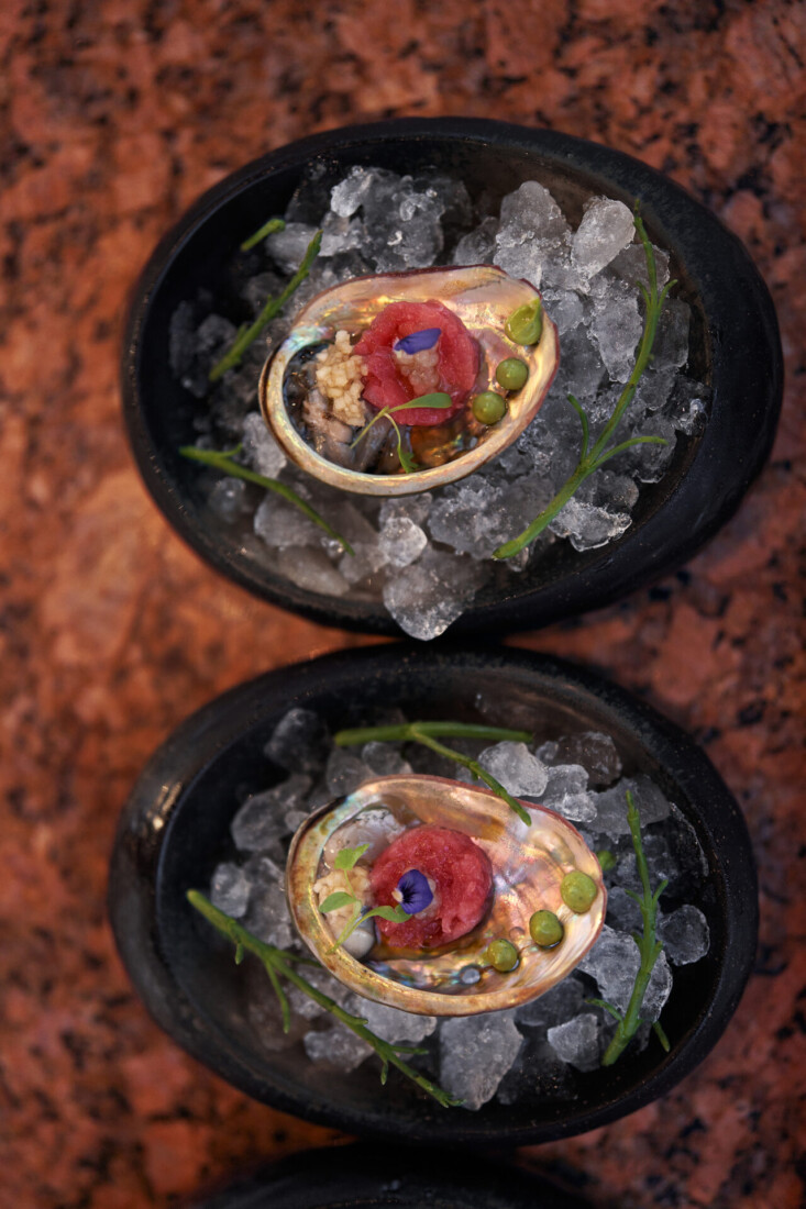 Gourmet seafood appetizer served in abalone shells on crushed ice, garnished with herbs and delicate toppings.