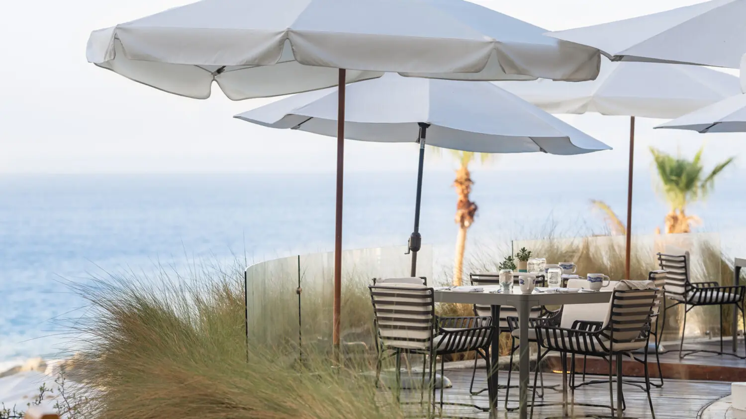 Outdoor oceanfront dining at Hilton Los Cabos with shaded tables, tropical plants, and a tranquil seaside ambiance.