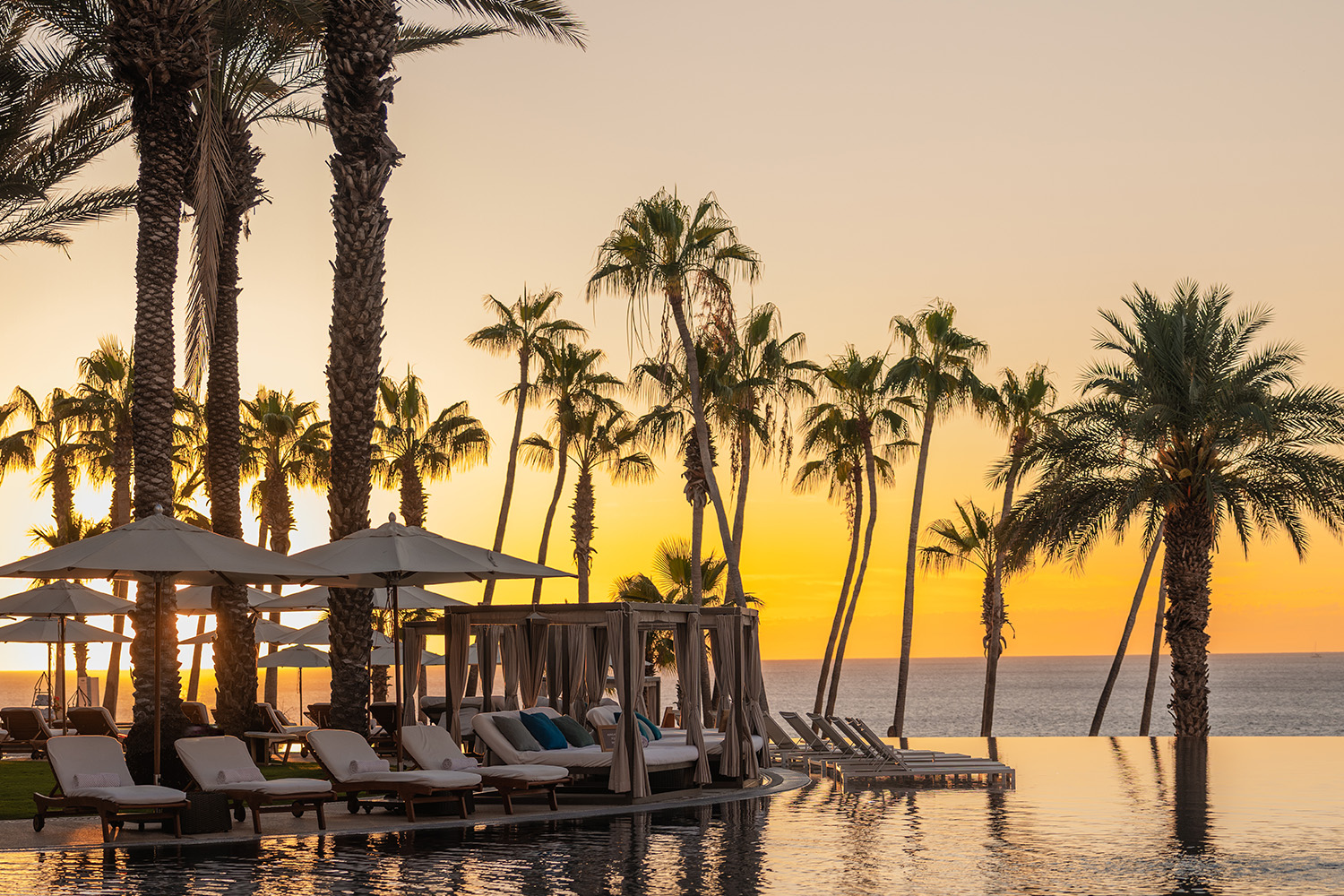 Golden sunset silhouettes swaying palm trees and beachfront cabanas at Hilton Los Cabos Beach & Golf Resort during eforea Wellness Day