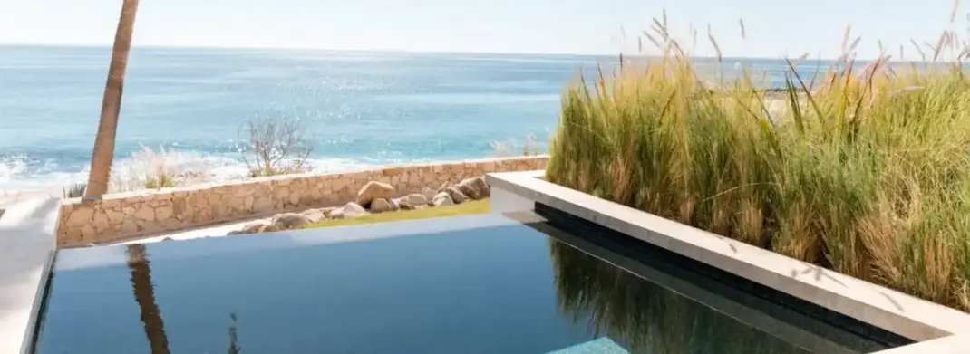 Infinity pool overlooking the ocean with palm trees, coastal plants, and a clear blue sky.
