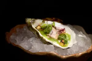 Gourmet oyster served on ice, garnished with herbs, microgreens, and sauce in elegant presentation.