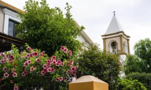 Imagen de árboles de la iglesia y flores en el exterior.